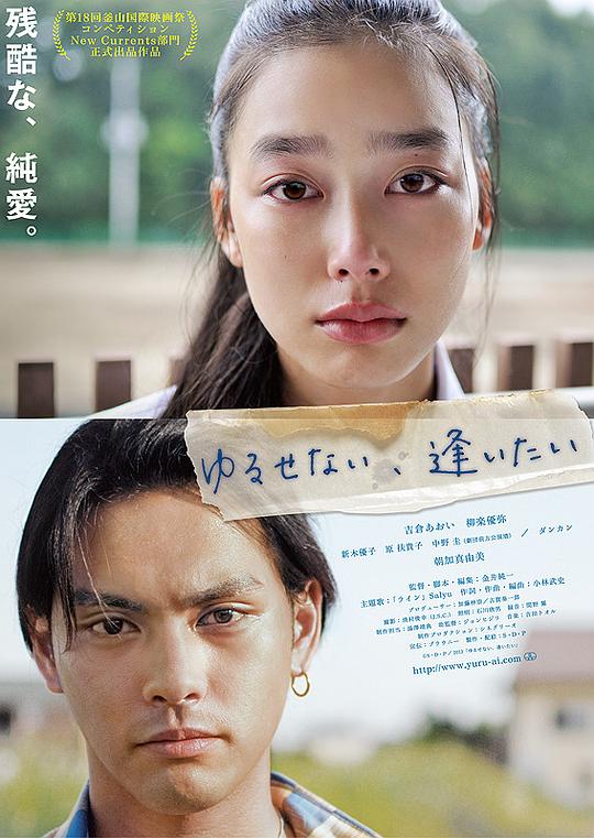 能不能原谅你,我想想看 ゆるせない、逢いたい (2013)