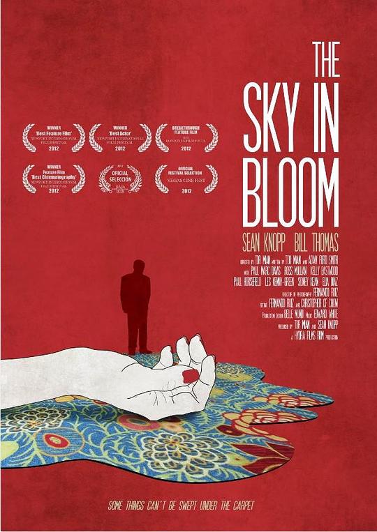 绽放的天空 The Sky in Bloom (2013)