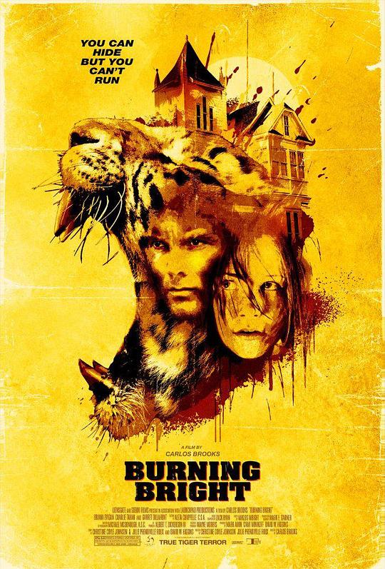 燃烧的夜晚 Burning Bright (2010)